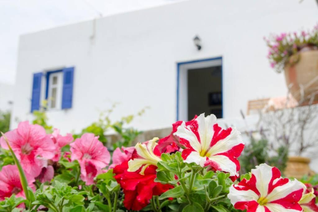 Cycladic Houses In Rural Surrounding 4 Tholária 外观 照片